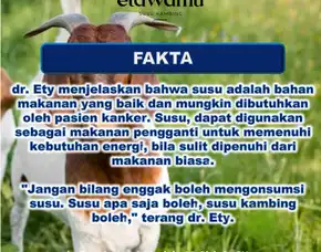 Pabrik Susu Kambing Etawa Pontianak, Bpom & Murah, Pt. Etsa Bregas Makmur