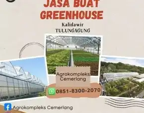 Green House