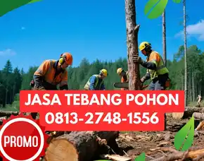 Jasa Tebang Pohon Godean