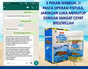 0812-1567-8455 Grosir Neo Albumino Plus Di Sulawesi Utara