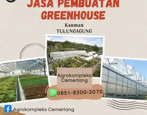 Jasatokoonlinetulungagung