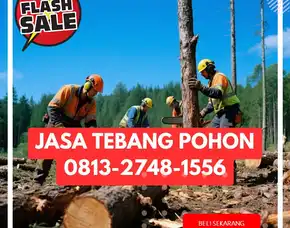 Jasa Tebang Pohon Panjatan