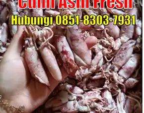 Fresh Segar, Jual Cumi Asin Baby Cumi Kabupaten Poso