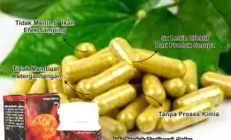 Obat Ajaib 💊 0856-4028-7456 Jual Obat Herbal Hipertensi Semarang Sinshe Zin