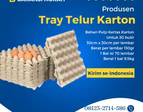 Tempat Telur Namanya - Perlindungan Ekstra Kirim Ke Lembar Lombok Barat (8)