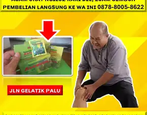 0878-8005-8622 Obat Alami Menurunkan Kolesterol Jahat Di Kota Palu