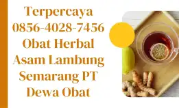 Mujarab 0856-4028-7456 Obat Herbal Darah Tinggi Semarang Pt Dewa Obat