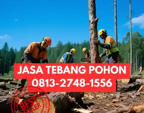 Jasa Tebang Pohon Kraton