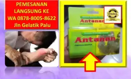 0878-8005-8622 Obat Asam Urat Apa Di Kota Palu