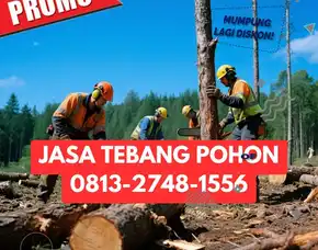 Jasa Tebang Pohon Semanu