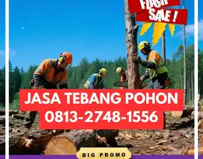 Jasa Tebang Pohon Pengasih