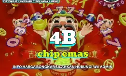 Ready Chip/Coin Hdi 4 B Harga Spesial Tahun Baru