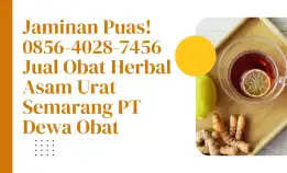 Jaminan Puas! 0856-4028-7456 Jual Obat Herbal Asam Urat Semarang Pt Dewa Obat