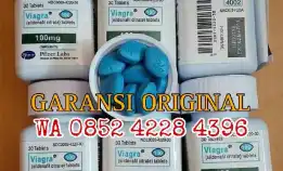 Suplemen Pria Tahan Lama Cod Bogor 081226742890 Pil Biru