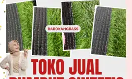 0896-5297-9519 (Bu Diana), Toko Rumput Sintetis Pemekasan Pasean