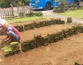 Jual Rumput Golf Kota Batu Terbaik