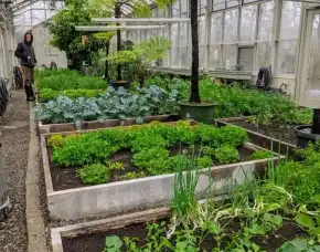 Jasa Pembuatan Greenhouse Bandung Terbaik,  Astana Anyar, Bandung