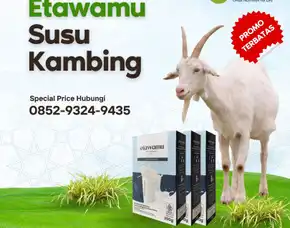 Susu Kambing Untuk Asam Lambung Sidoarjo, 0852-9324-9435, Bpom & Murah