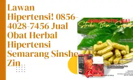 Lawan Hipertensi! 0856-4028-7456 Jual Obat Herbal Hipertensi Semarang Sinshe Zin