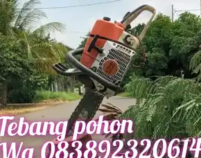 Jasa Tebang Pohon Depok,Jaksel,Tangsel