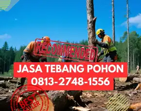 Jasa Tebang Pohon Seyegan