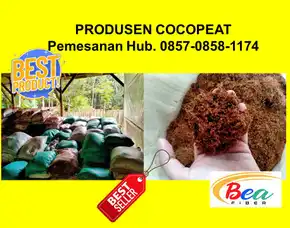 Call/Wa: 0857 - 0858 -1174 Produsen Coconeat Organic Untuk Media Tanam Bejana Bangkalan Surabaya Bea Fiber