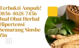 Terbukti Ampuh! 0856-4028-7456 Jual Obat Herbal Hipertensi Semarang Sinshe Zin