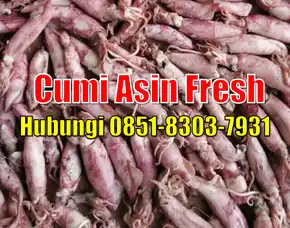 Fresh Segar, Jual Cumi Asin Baby Cumi Kabupaten Sukamara