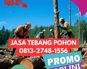 Jasa Tebang Pohon Sentolo