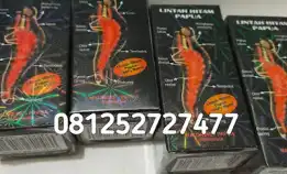 Jual Minyak Lintah Hitam Asli Di Sidoarjo 081252727477