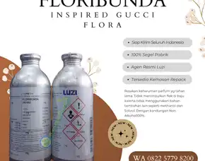 Supplier Bibit Parfum Luzi  Tolikara
