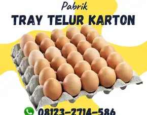 Rak Telor Sebagai Peredam Suara (Tray Telur) - Stok Terbatas Kirim Ke Gunungsari Lombok Barat (46)