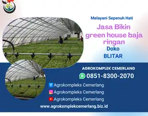 Jasa Green House Blitar Wonotirto