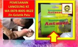 Wa: 0878-8005-8622 Obat Alami Menghilangkan Kolesterol Di Kota Palu