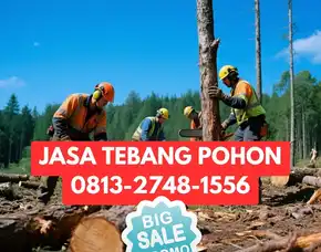 Jasa Tebang Pohon Tepus