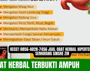 Murah Meriah!! 0856-4028-7456 Jual Obat Herbal Hipertensi Semarang Sinshe Zin