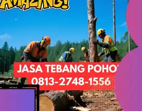 Jasa Tebang Pohon Kotagede