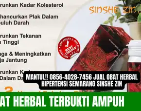 Wajib Coba!! 0856-4028-7456 Jual Obat Herbal Hipertensi Semarang Sinshe Zin