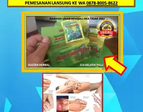 Obat Kolesterol Yang Aman Untuk Ginjal Di Kota Palu