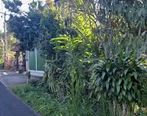 Dijual 1,583 Ha. Jl. Auman Pelaga Petang Badung Bali