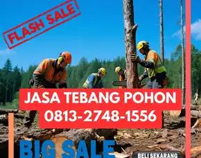 Jasa Tebang Pohon Samigaluh