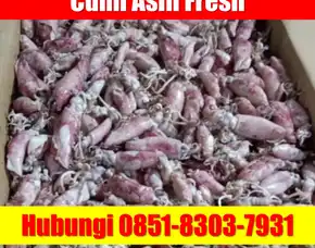 Fresh Segar, Jual Cumi Asin Baby Cumi Kabupaten Buleleng