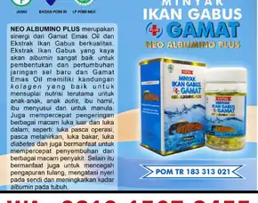 0812-1567-8455 Grosir Neo Albumino Plus Di Jateng Diy