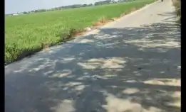 Jual Tanah Sawah Pinggir Jalan Raya