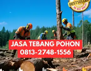 Jasa Tebang Pohon Prambanan