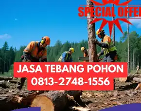 Jasa Tebang Pohon Kalasan