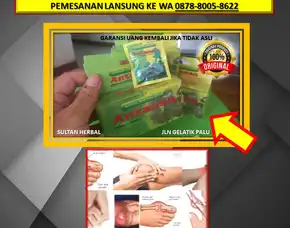 Wa: 0878-8005-8622 Obat Kolesterol China Di Kota Palu