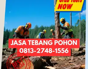 Jasa Tebang Pohon Pakem