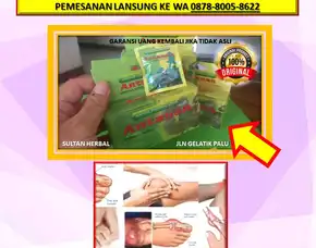 Wa: 0878-8005-8622 Obat Asam Urat Untuk Orang Tua Di Kota Palu