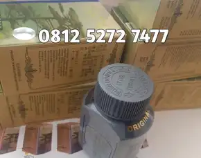 Jual Obat Penggemuk Badan Di Pangkal Pinang 08125272777 - Kianpi Pil Gold
